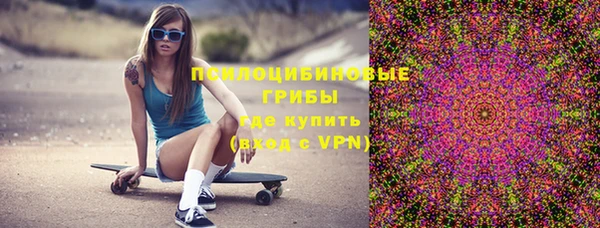 шишки Абинск