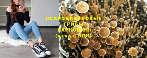 Альфа ПВП Абдулино