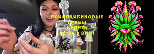 шишки Алзамай